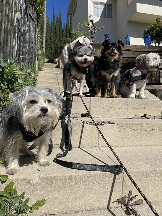 Joyride Harness Picture 1