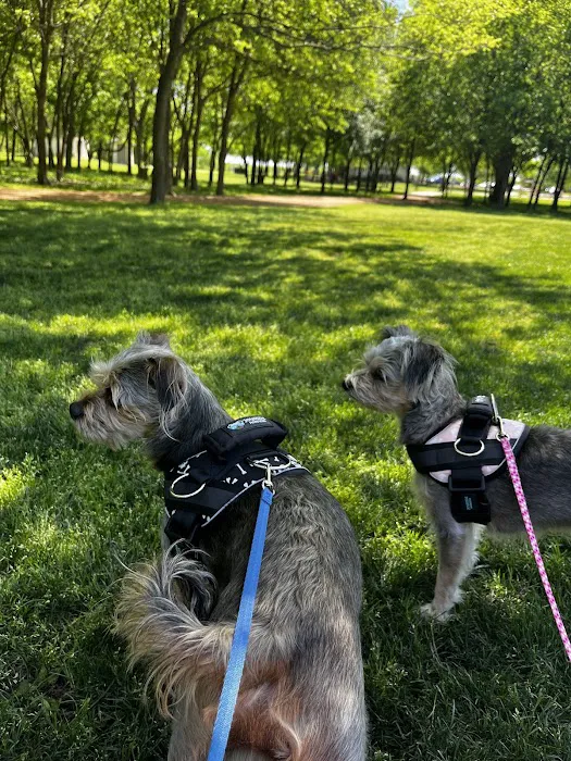 Joyride Harness Picture 6