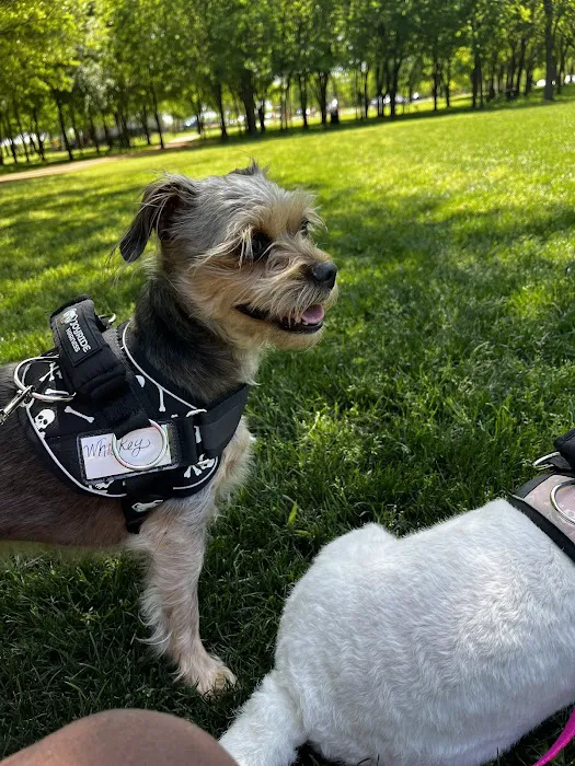 Joyride Harness Picture 3