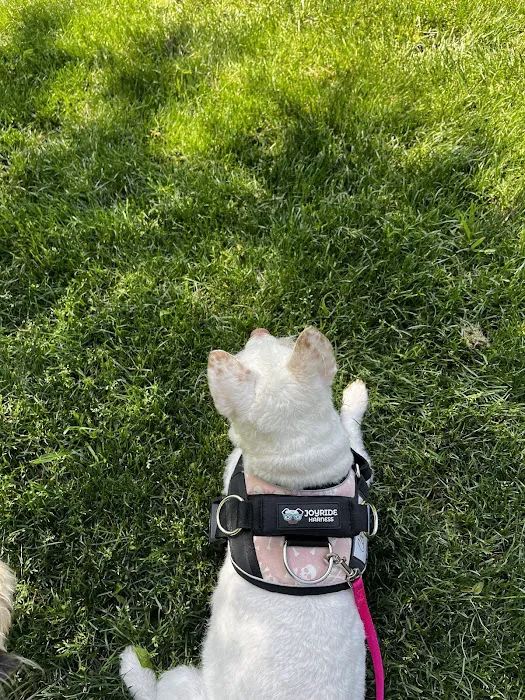 Joyride Harness Picture 7