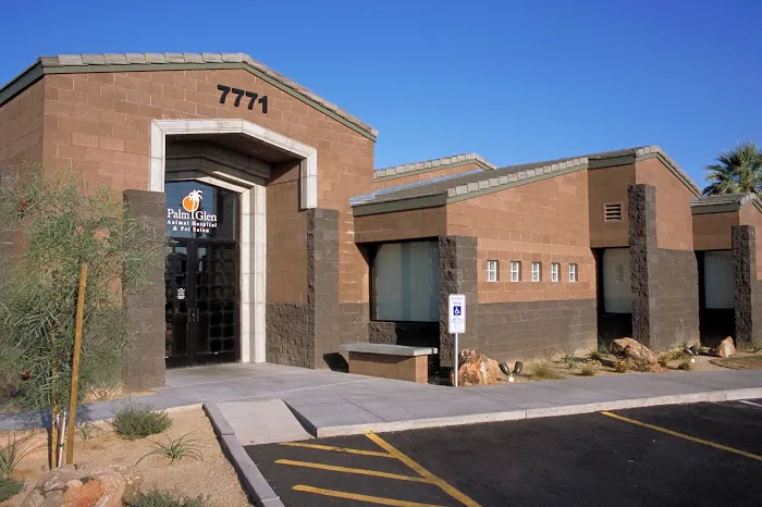 Palm Glen Animal Hospital Picture 6