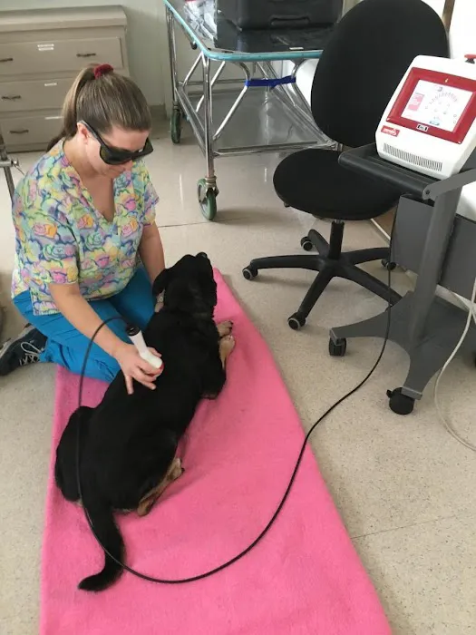 Valley West Animal Hospital Picture 6