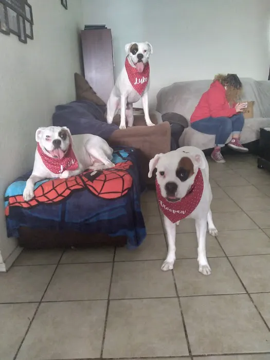 Valley West Animal Hospital Picture 5