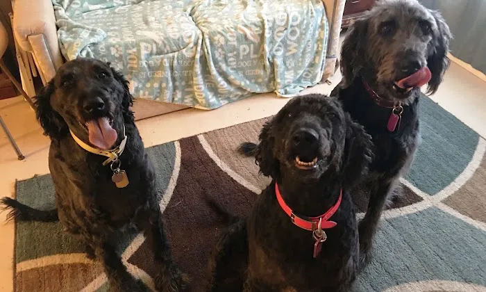Valley West Animal Hospital Picture 8