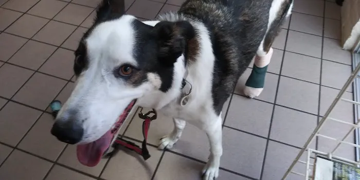 Valley West Animal Hospital Picture 9