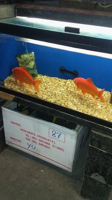 Tokyo Aquarium Picture 2
