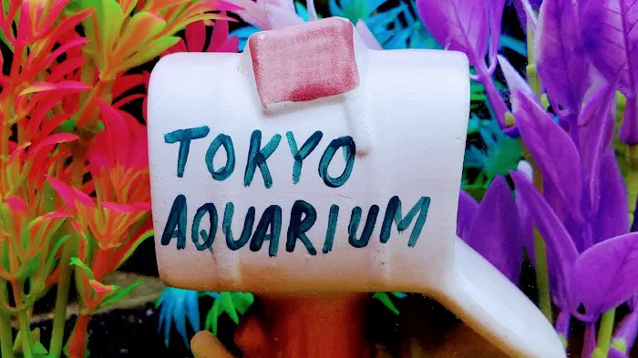 Tokyo Aquarium Picture 9