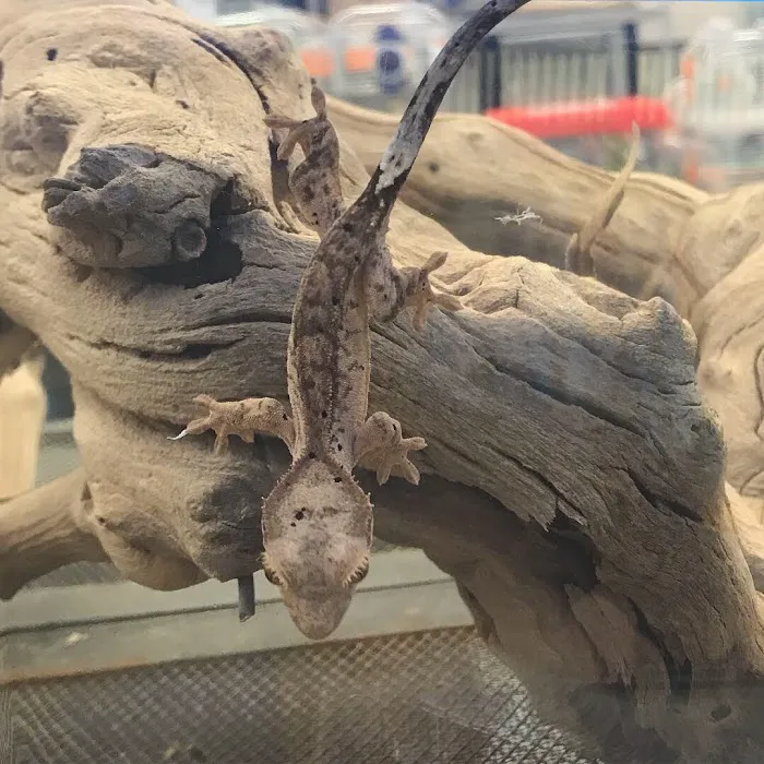 N&J Pet Shop Picture 2