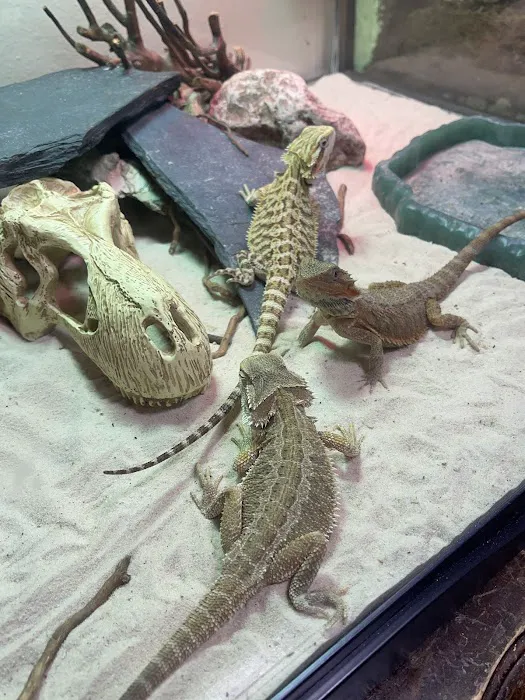 N&J Pet Shop Picture 7