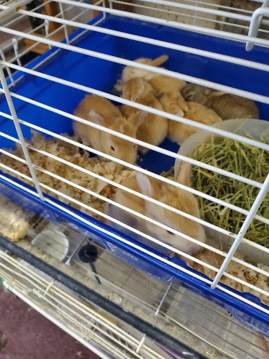 N&J Pet Shop Picture 6