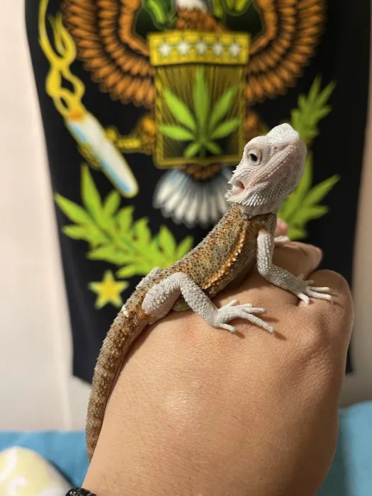 N&J Pet Shop Picture 9