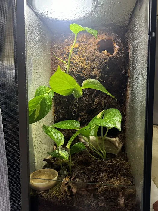 N&J Pet Shop Picture 8