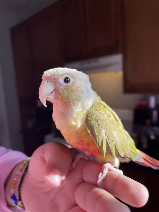 N&J Pet Shop Picture 10
