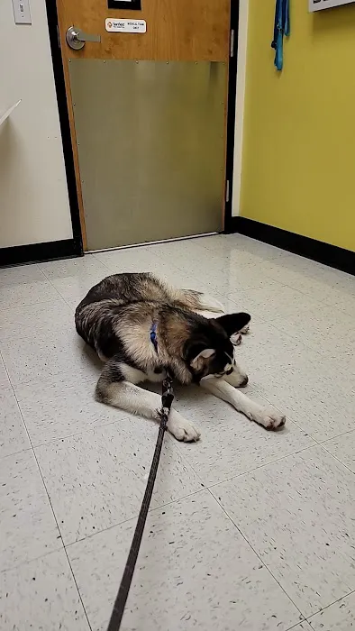 Banfield Pet Hospital Picture 4