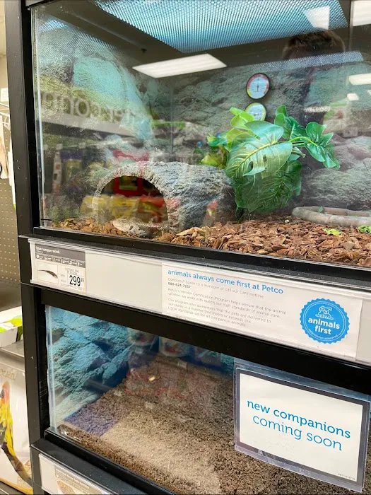 Petco Picture 5