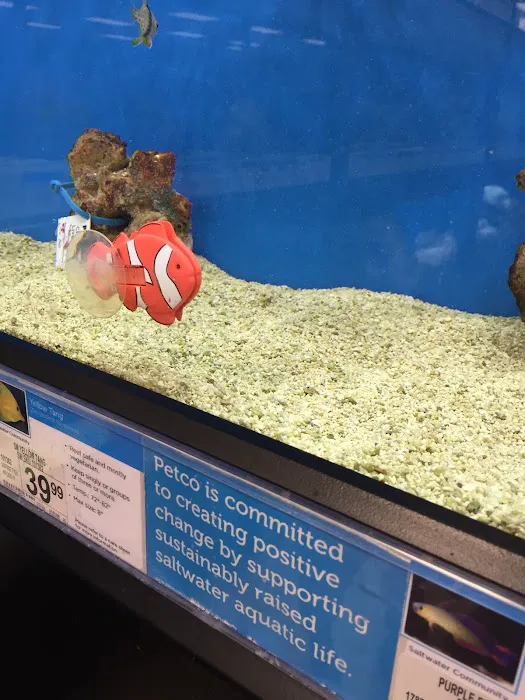 Petco Picture 9