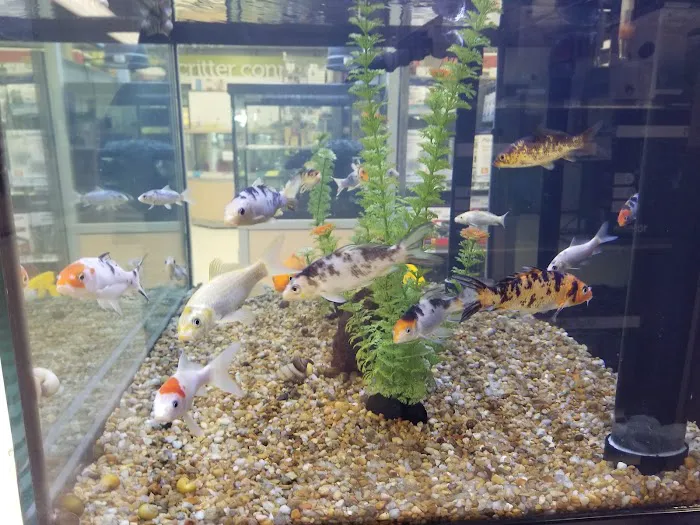 Petco Picture 8
