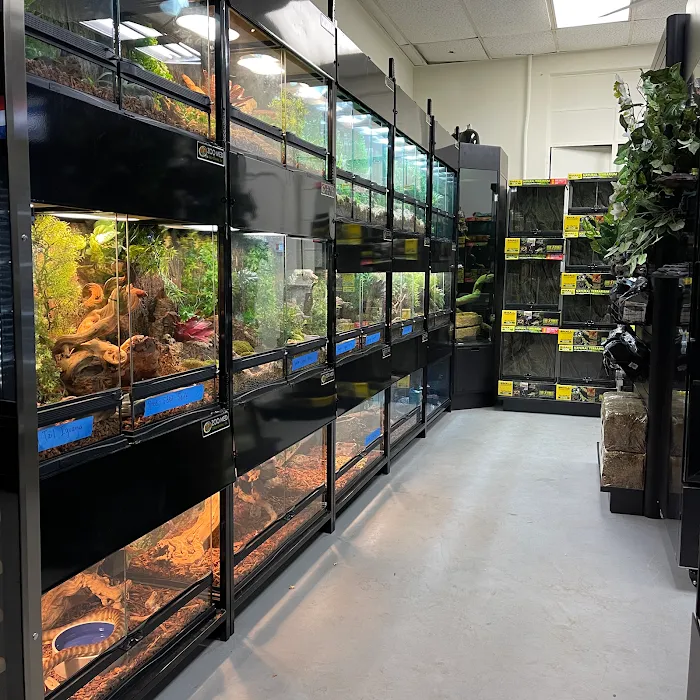Allan's Pet Center - East LA Picture 10