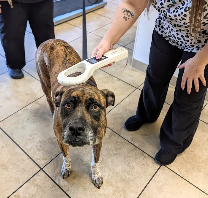 Tolleson Animal Clinic Picture 1