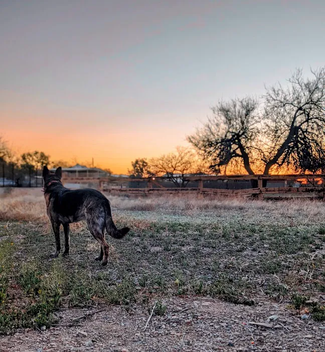 Tolleson Animal Clinic Picture 5