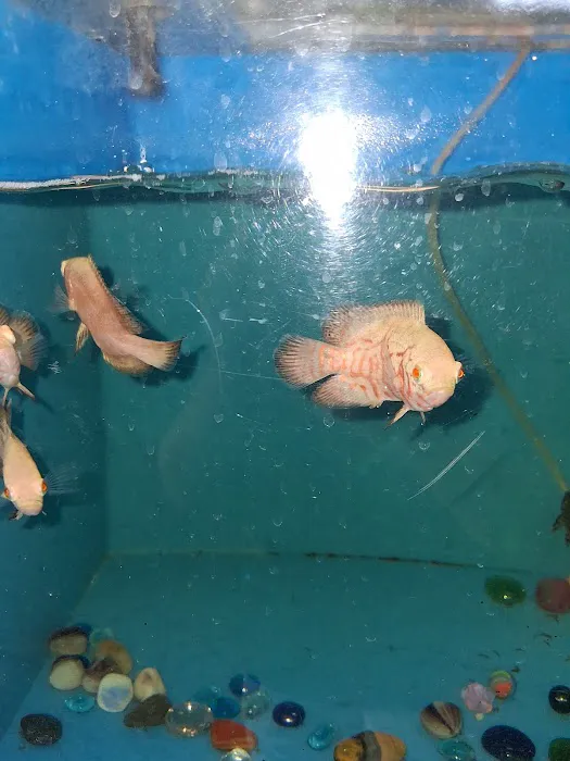 Atlantic Aquarium Picture 1