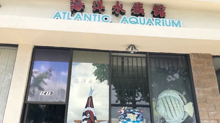 Atlantic Aquarium Picture 9