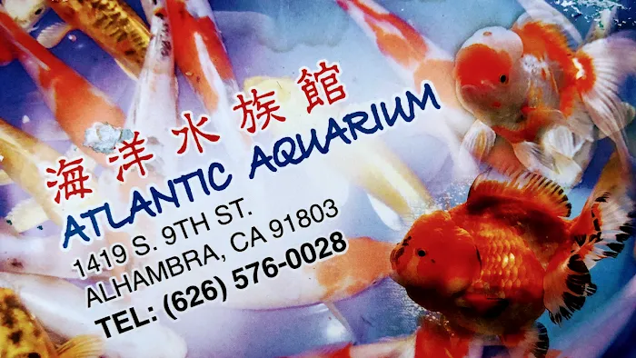 Atlantic Aquarium Picture 10