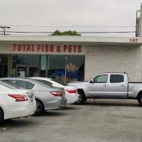 Total Fish & Pets ico