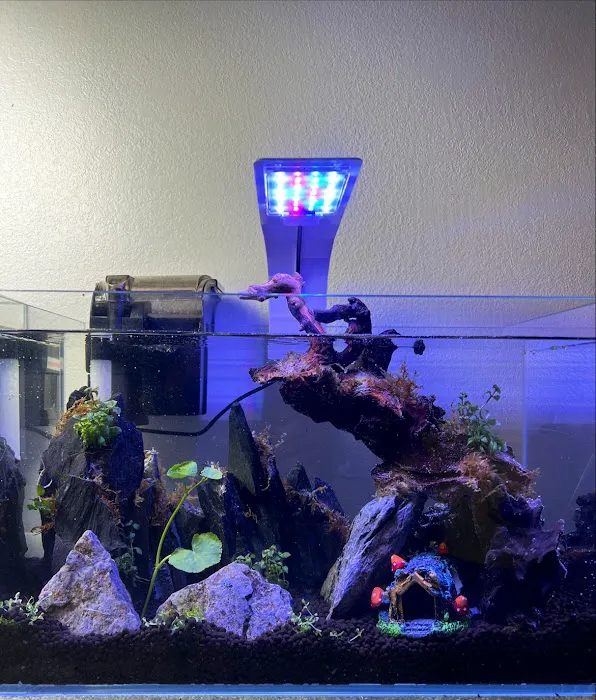 Total Fish & Pets Picture 6