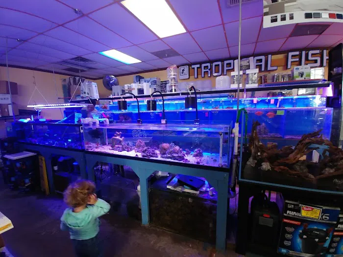 Total Fish & Pets Picture 9