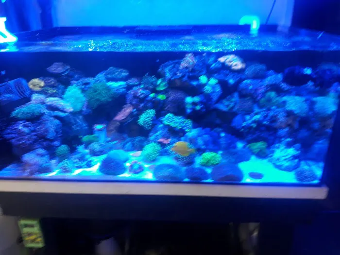 Total Fish & Pets Picture 7