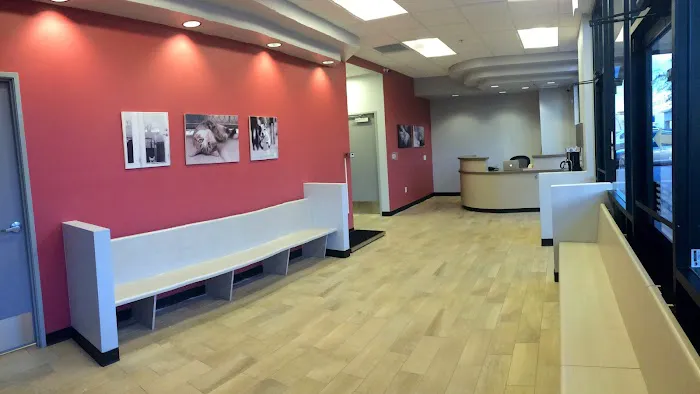 Phoenix Veterinary Center Picture 6