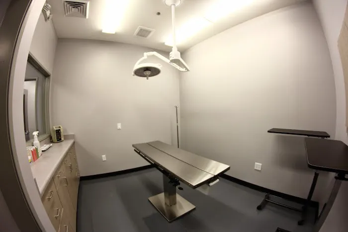 Phoenix Veterinary Center Picture 8