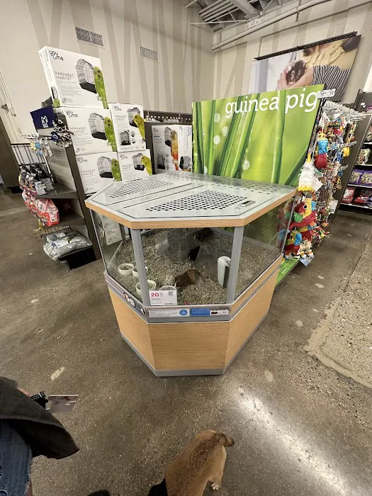 Petco Picture 3