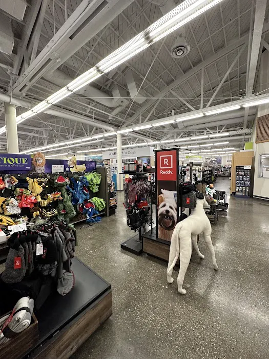 Petco Picture 2