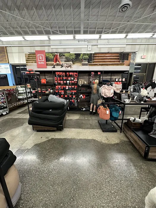 Petco Picture 6