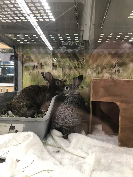 Petco Picture 10