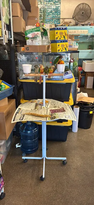 Ramirez Pet Shop Picture 4