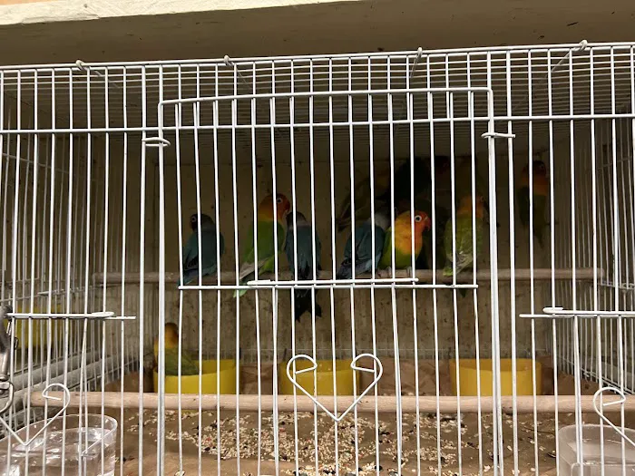 Ramirez Pet Shop Picture 8