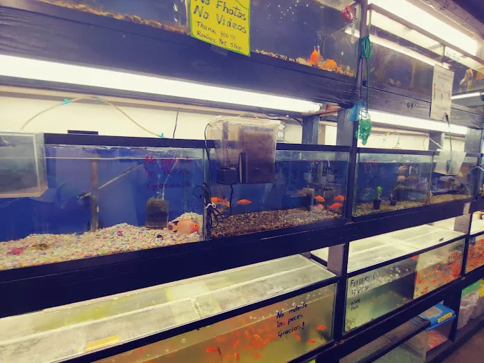 Ramirez Pet Shop Picture 9