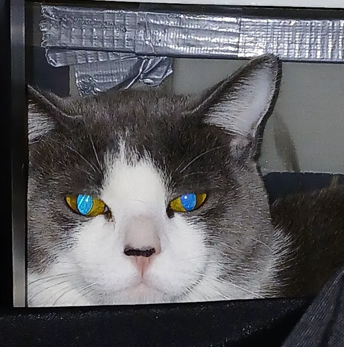 Arizona Humane Society Veterinary Clinic at Sunnyslope Campus Picture 4