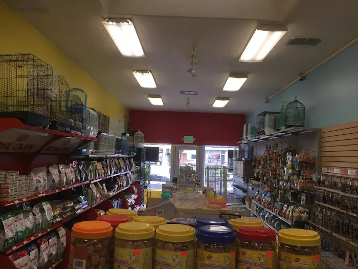 Pets R Us, Pet Grooming & Supplies Picture 6
