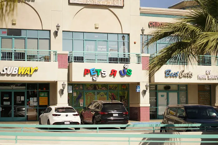 Pets R Us, Pet Grooming & Supplies Picture 2
