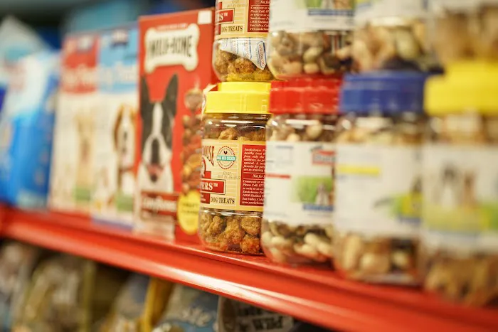 Pets R Us, Pet Grooming & Supplies Picture 4