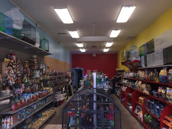 Pets R Us, Pet Grooming & Supplies Picture 8