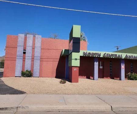 North Central Animal Hospital