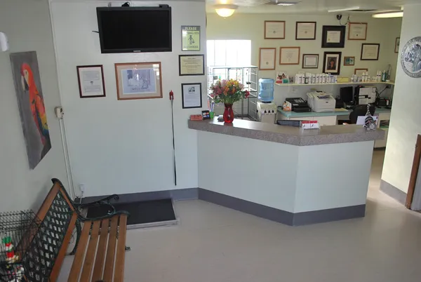 North Central Animal Hospital Picture 6