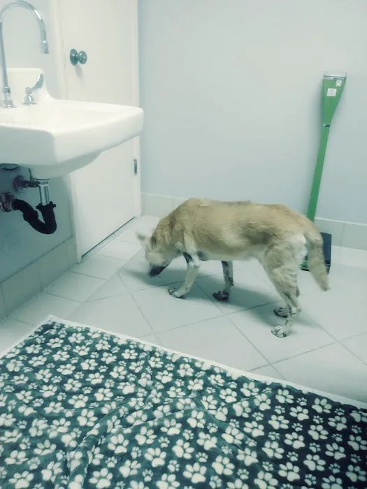 Palo Verde Animal Hospital Picture 1
