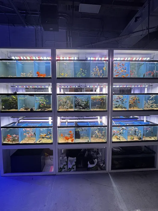 Harry's Marine Life Burbank Picture 1