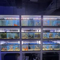 Harry's Marine Life Burbank ico